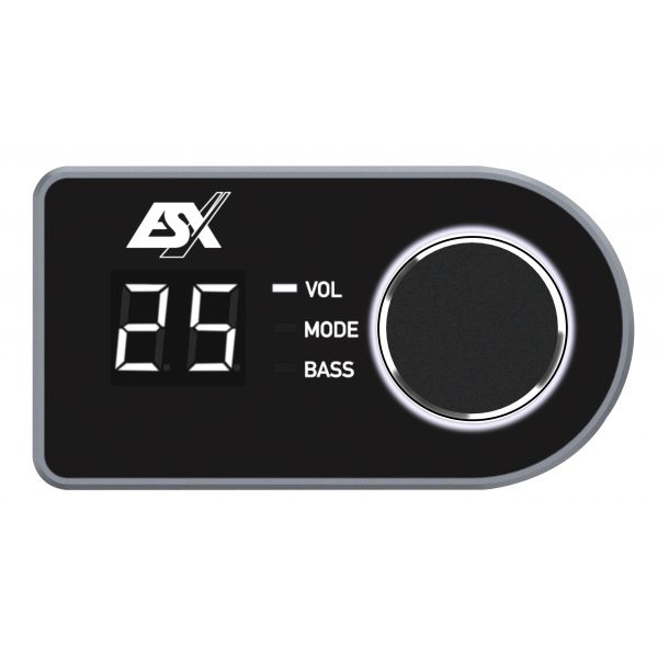 ESX RC-DQ - kontroler do procesorów